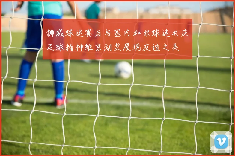 挪威球迷赛后与塞内加尔球迷共庆足球精神维京划桨展现友谊之美